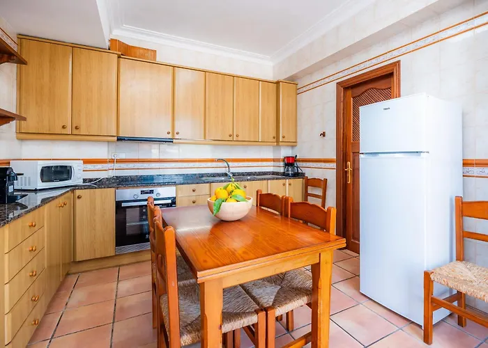 Dofí Cala Millor (Mallorca)