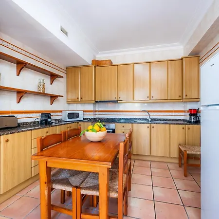 Dofi * カラ・ミラー